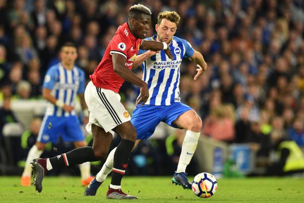 充满独特的 充满独特的